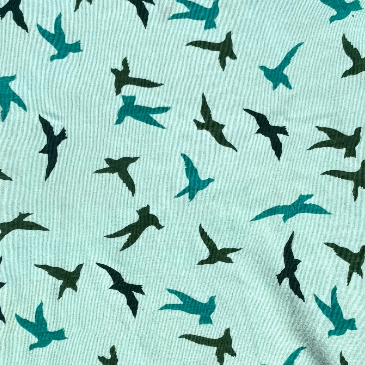 1970s Bird flight ringer